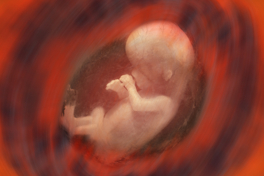 Die weltweit erste „künstliche Gebärmutter“ wird es Eltern ermöglichen, maßgeschneiderte, im Labor gezüchtete Babys zu entwerfen