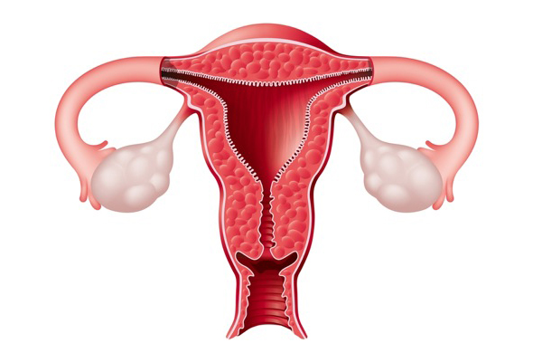 ‘Game Changer’: Scientists Map Cellular Changes Associated With Endometriosis